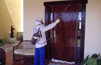 KLB Dedetização - Foto 1