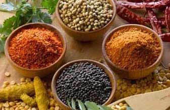 Ponto das Ervas Medicinais - Foto 1