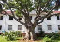 Visita da Escola Estadual Darcinópolis ao Museu Municipal de Marabá-PA