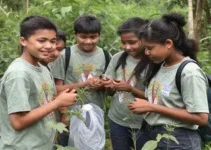 projeto de combate a mosquitos vetores de doenças