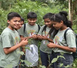 projeto de combate a mosquitos vetores de doenças