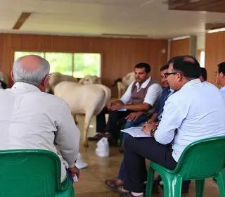 pecuária sustentável