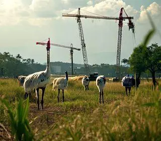 Sefa apreende guindastes