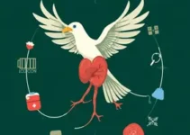 doação de órgãos