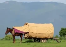 E+ Caravana Equatorial