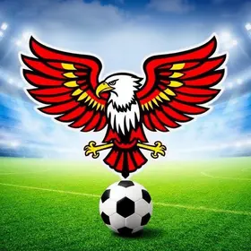 Série D do Campeonato Brasileiro