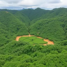 Amazônia Open