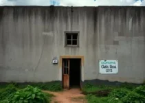 detento foge do presídio