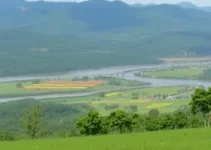 Vagas de Emprego Marabá