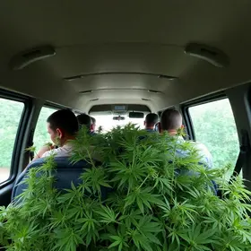 passageiro de van transportava 6 kg de maconha