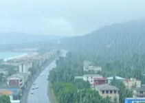 alerta amarelo