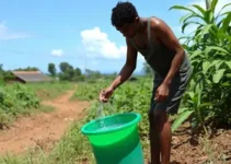 serviço de saneamento ambiental de marabá