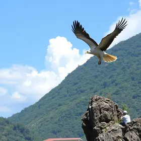Tocantinópolis Série D