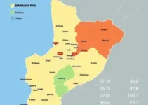 eleições 2026 Marabá